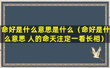 命好是什么意思是什么（命好是什么意思 人的命天注定一看长相）